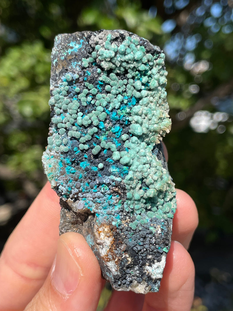 Malachite and Chrysocolla Flat 25 pieces from Usakos, Erongo Region, Namibia