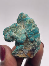20 Piece Flat of Vibrant Chrysocolla with Malachite & Brochantite, from Usakos, Erongo Region, Namibia