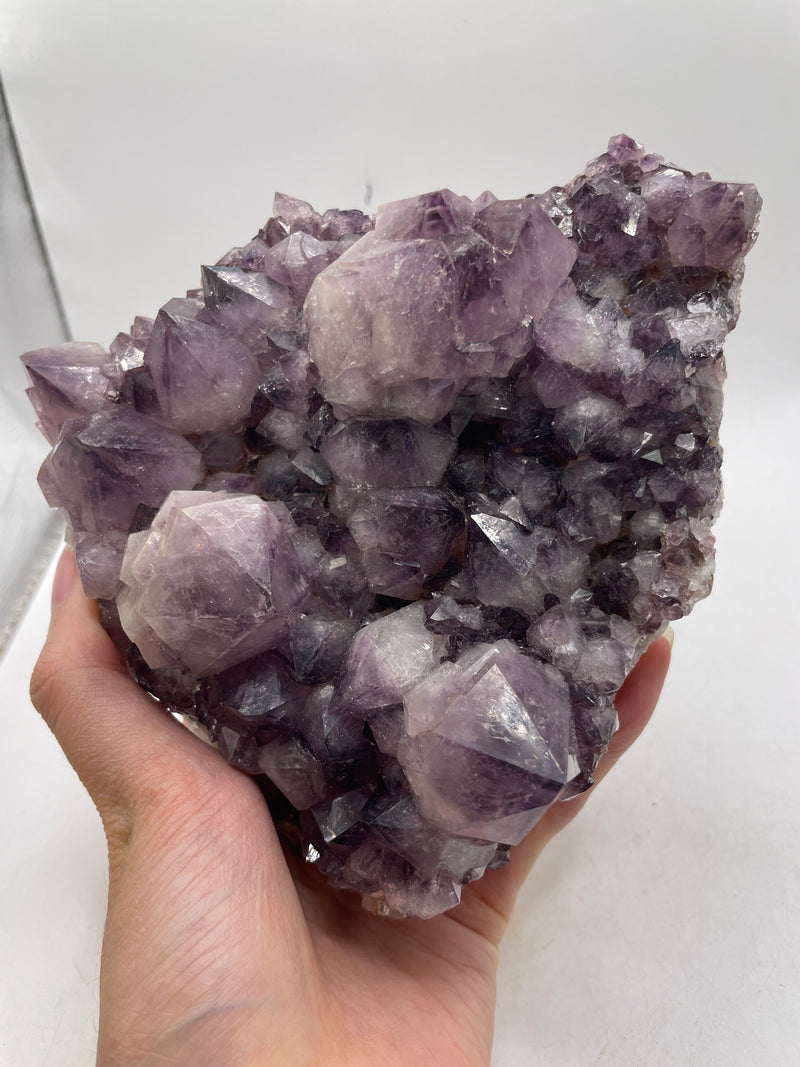 2.902 kg Wholesale Flat of Amethyst from Lutzburg, Kakamas, Northern Cape, South Africa