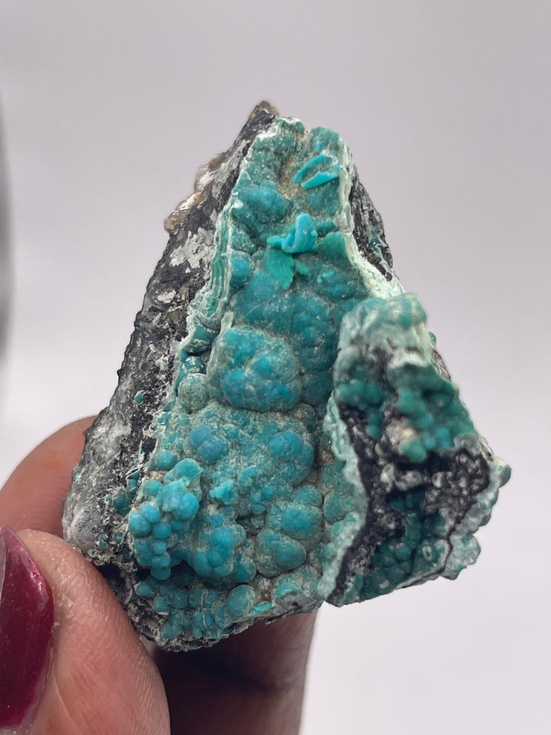 20 Piece Flat of Vibrant Chrysocolla with Malachite & Brochantite, from Usakos, Erongo Region, Namibia