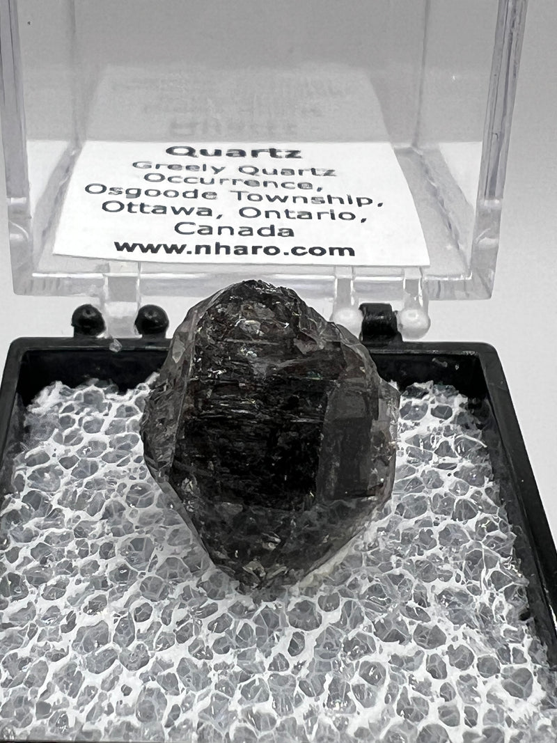 Greely Quartz from the Greely Quartz Occurrence, Osgoode Township, Ottawa, Ontario, Canada