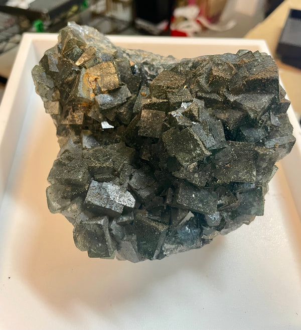 @PickRocksOrKickRocks (pickrocksorkickrocks)