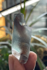 Pen Fluorite, Erongo Mountain | Erongo Region, Namibia, Africa
