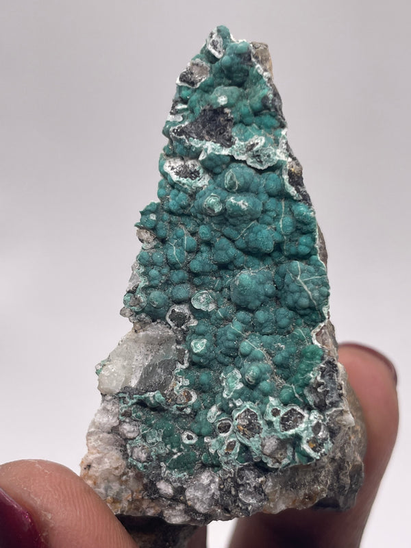 20 Piece Flat of Vibrant Chrysocolla with Malachite & Brochantite, from Usakos, Erongo Region, Namibia