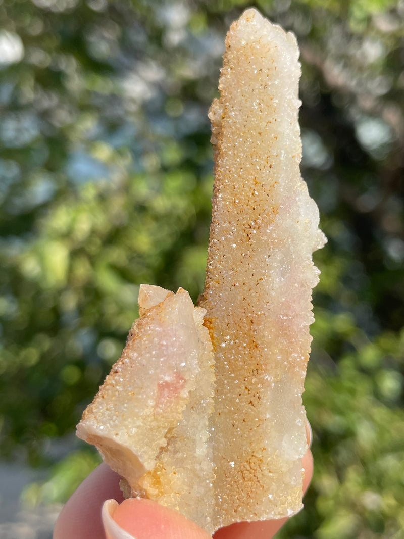 1 piece of Witch’s Finger Quartz from Boukenhoethoek, South Africa