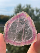 Elbaite Tourmaline from the Queen Mine, Pala Mining District, San Diego County, California