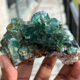 Top Shelf Fluorite, Okorusu Mine, Otjiwarongo Region, Karibib District, NAMIBIA