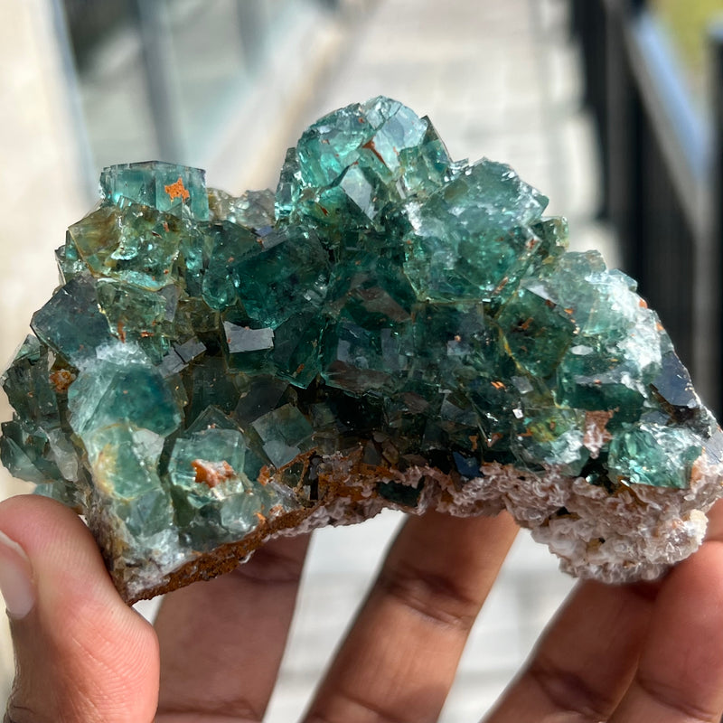 Top Shelf Fluorite, Okorusu Mine, Otjiwarongo Region, Karibib District, NAMIBIA