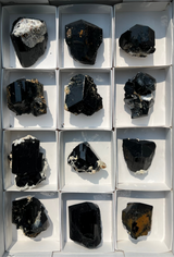Black Tourmaline Flat 12 pieces from the Erongo Region Namibia