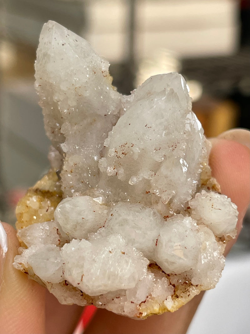 1 piece of Witch’s Finger Quartz from Boukenhoethoek, South Africa