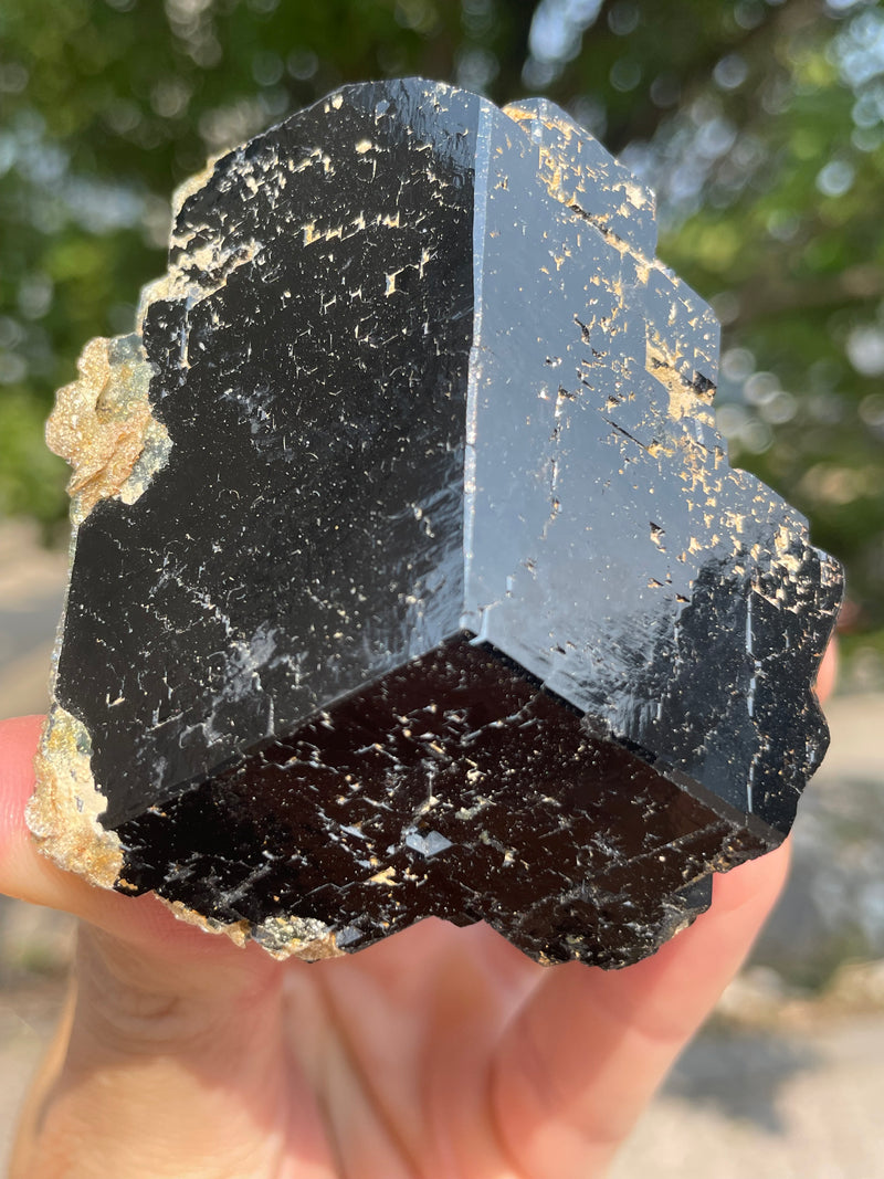 Black Tourmaline Flat 12 pieces from the Erongo Region Namibia