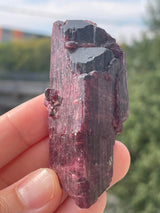 Liddicoatite Tourmaline from Sahatany Valley, Ibity, Antsirabe II, Vakinankaratra, Madagascar