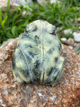 Leopard stone shona sculpture from canon paterson craft society, Mbare, Zimbabwe