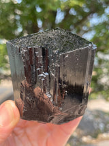 Black Tourmaline Flat 12 pieces from the Erongo Region Namibia