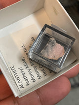 @aiawaa