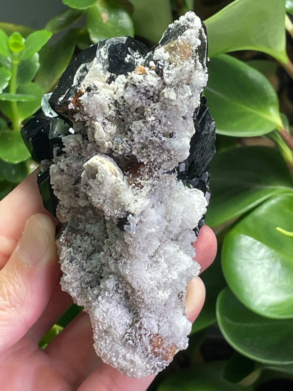 Black Tourmaline Specimen with Aquamarine and Hyalite Opal from Erongo Mountain, Erongo Region, Namibia