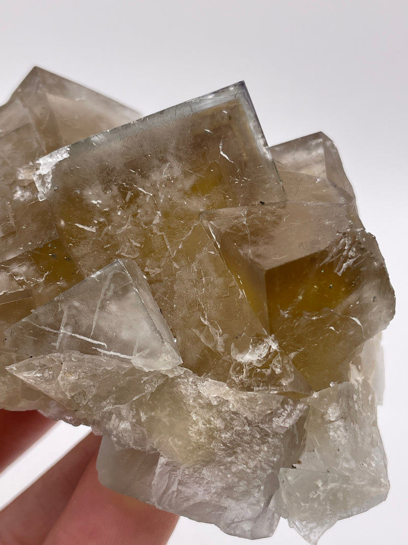 UK Fluorite double sided from the Harvest Pocket, Lady Anabella Mine, England