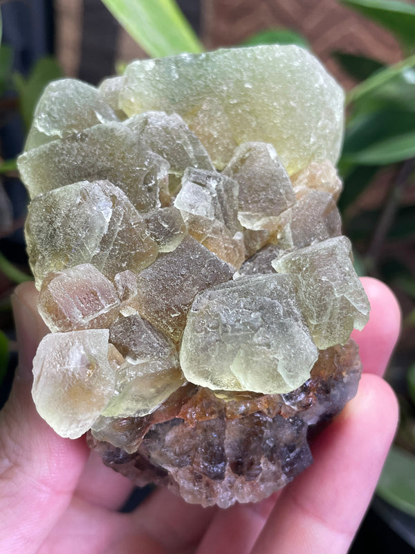 Fluorite from Rogers Mine, Huntingdon Township, Hastings County, Ontario, Canada