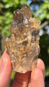 Kundalini Citrine Wholesale Flat 24 pieces from Democratic Republic of Congo
