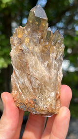 Kundalini Citrine Wholesale Flat 12 pieces from Democratic Republic of Congo