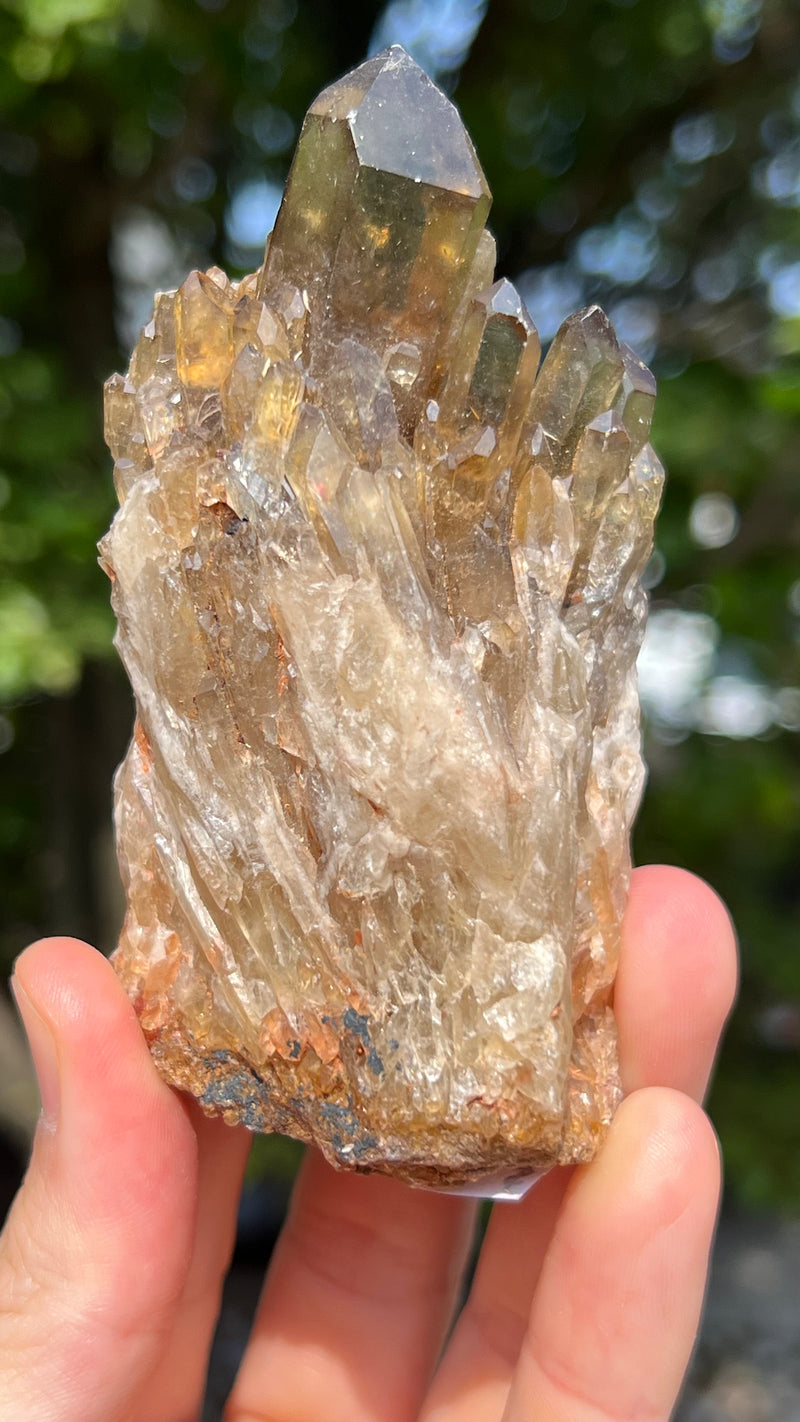 Kundalini Citrine Wholesale Flat 12 pieces from Democratic Republic of Congo