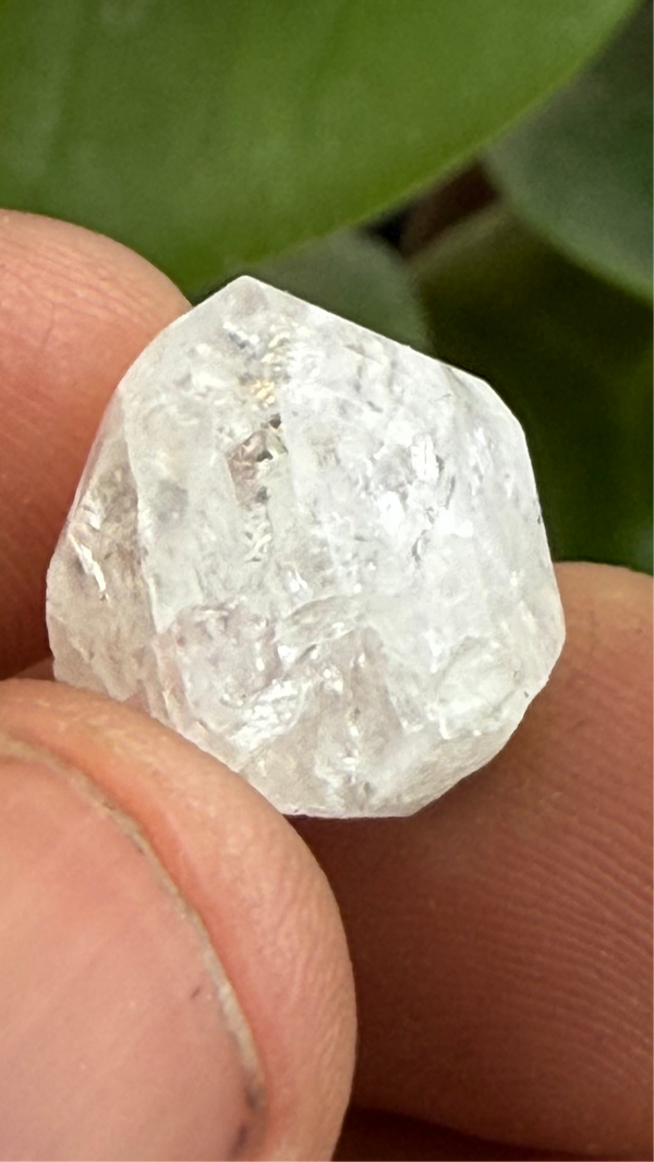 Gemmy Nigerian Phenakite Crystal with black tourmaline  from Okuta-Didan Mine, Jos Plateau, Nigeria