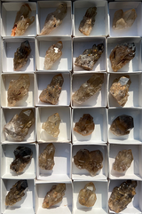 Kundalini Citrine Wholesale Flat 24 pieces from Democratic Republic of Congo