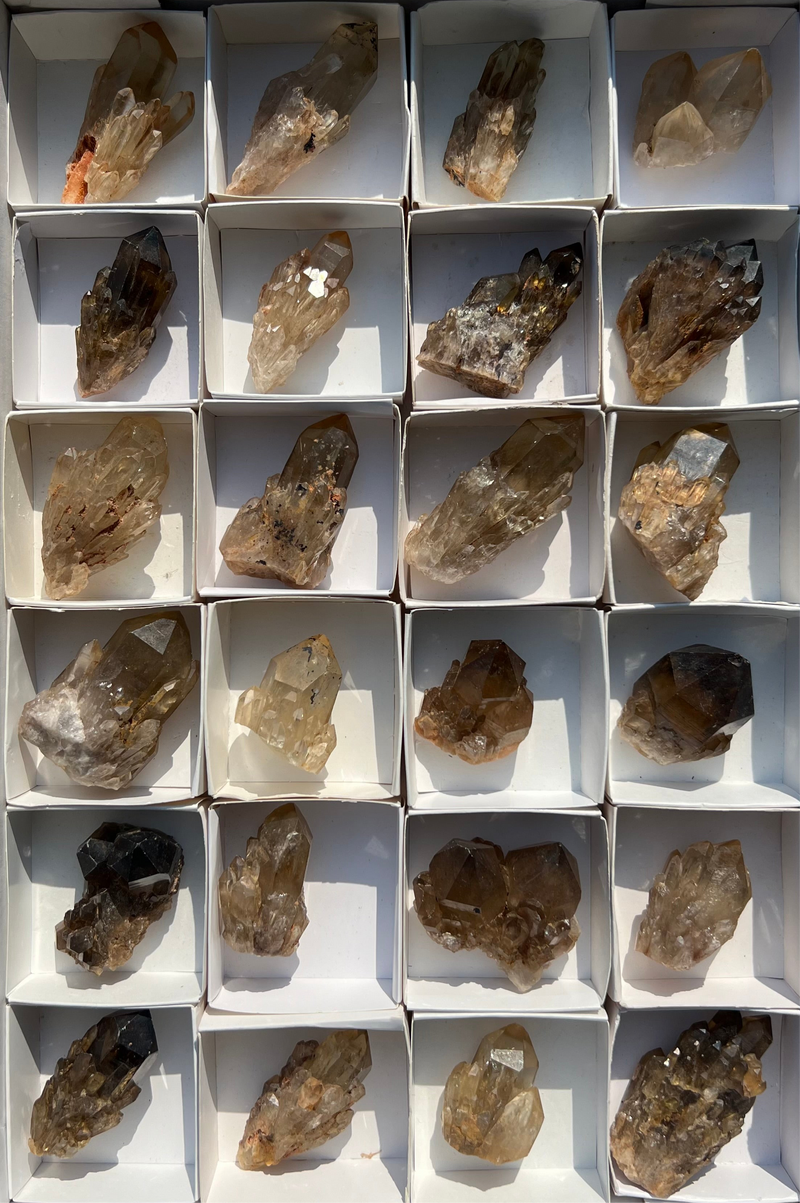 Kundalini Citrine Wholesale Flat 24 pieces from Democratic Republic of Congo