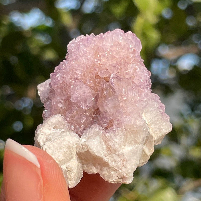 Amethyst Spirit Quartz - Cactus Witches Fingers - Wholesale flat (35 pieces) - South Africa