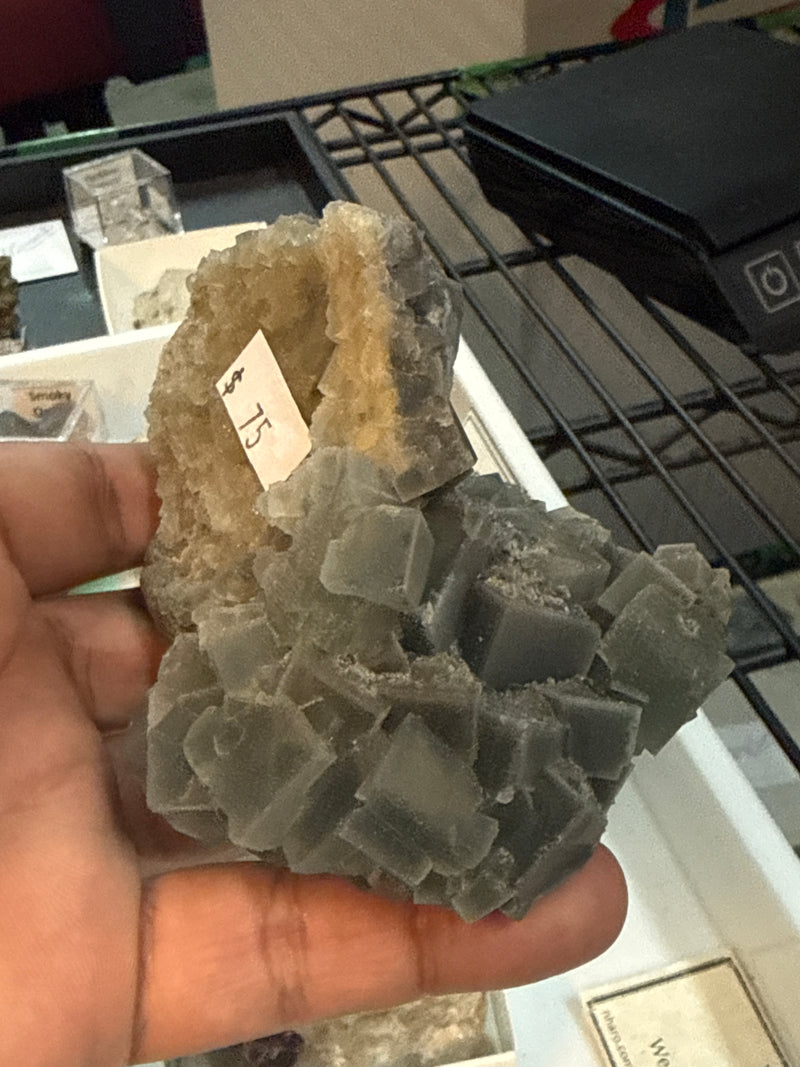 @sedonacrystal