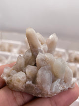 Cactus Quartz Wholesale Flat, 43 pieces from Mpumalanga, South Africa