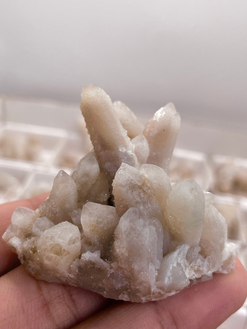 Cactus Quartz Wholesale Flat, 43 pieces from Mpumalanga, South Africa