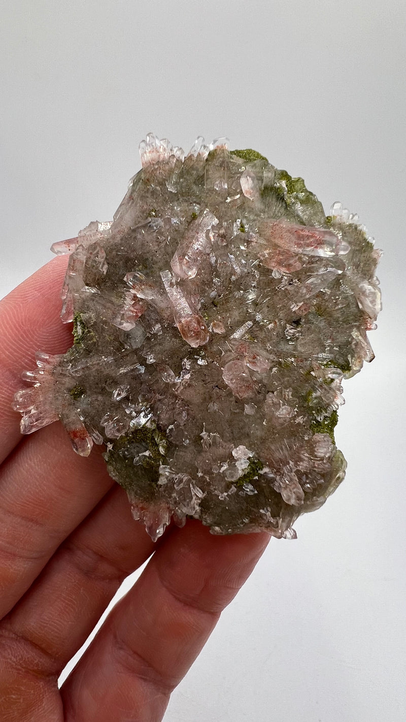 Harledote Brandberg Quartz flat 24 pieces from Goboboseb Mountains, Erongo Region, Namibia