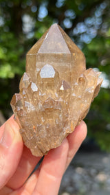 Kundalini Citrine Wholesale Flat 12 pieces from Democratic Republic of Congo