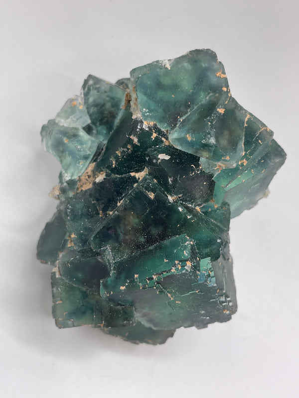 vineyardgay3