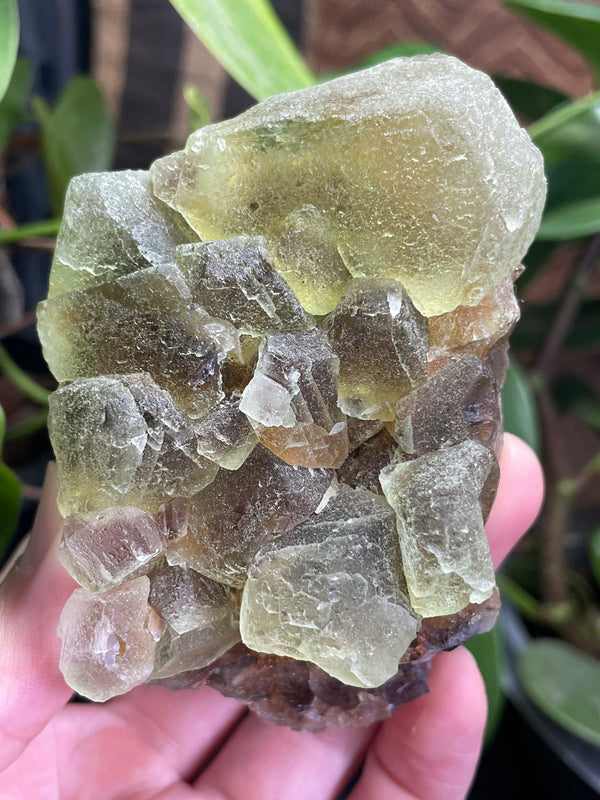 Fluorite from Rogers Mine, Huntingdon Township, Hastings County, Ontario, Canada