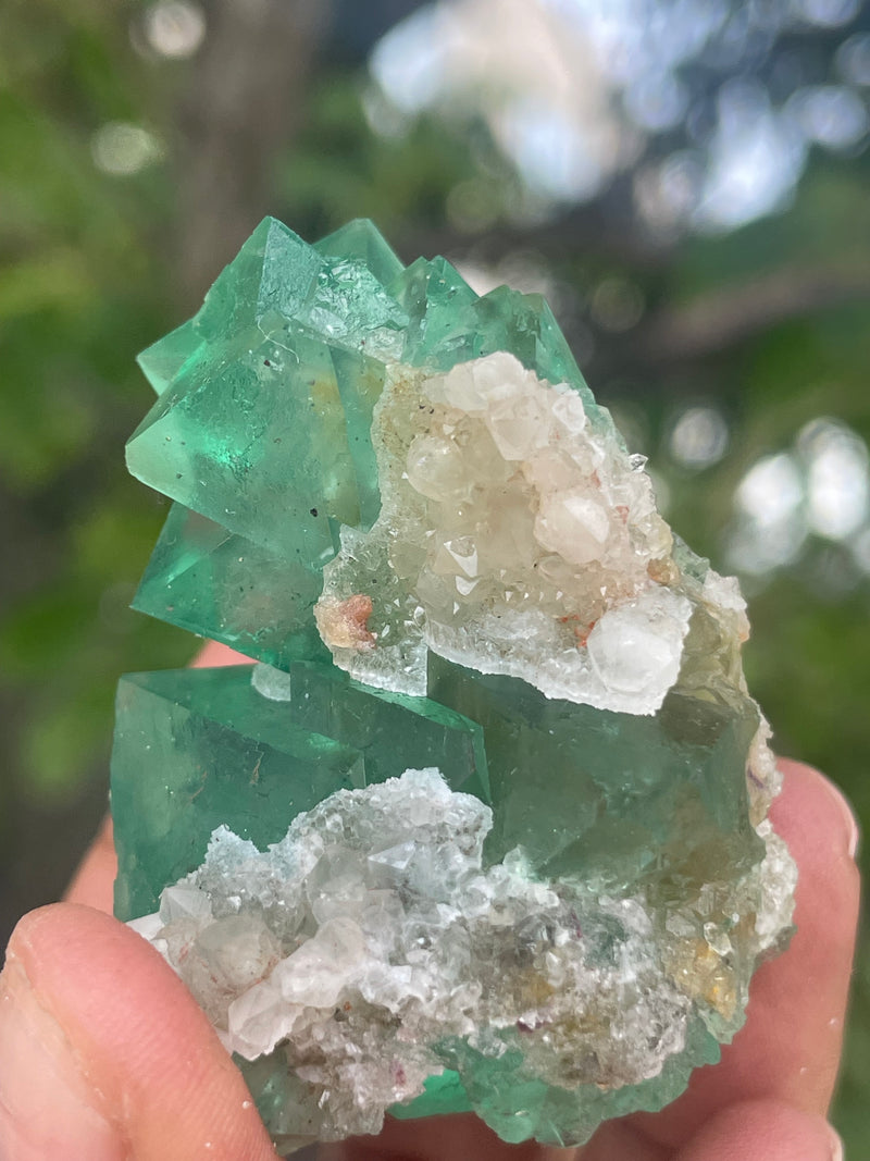 Orange River Fluorite from Riemvasmaak South Africa