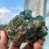 Top Shelf Fluorite, Okorusu Mine, Otjiwarongo Region, Karibib District, NAMIBIA