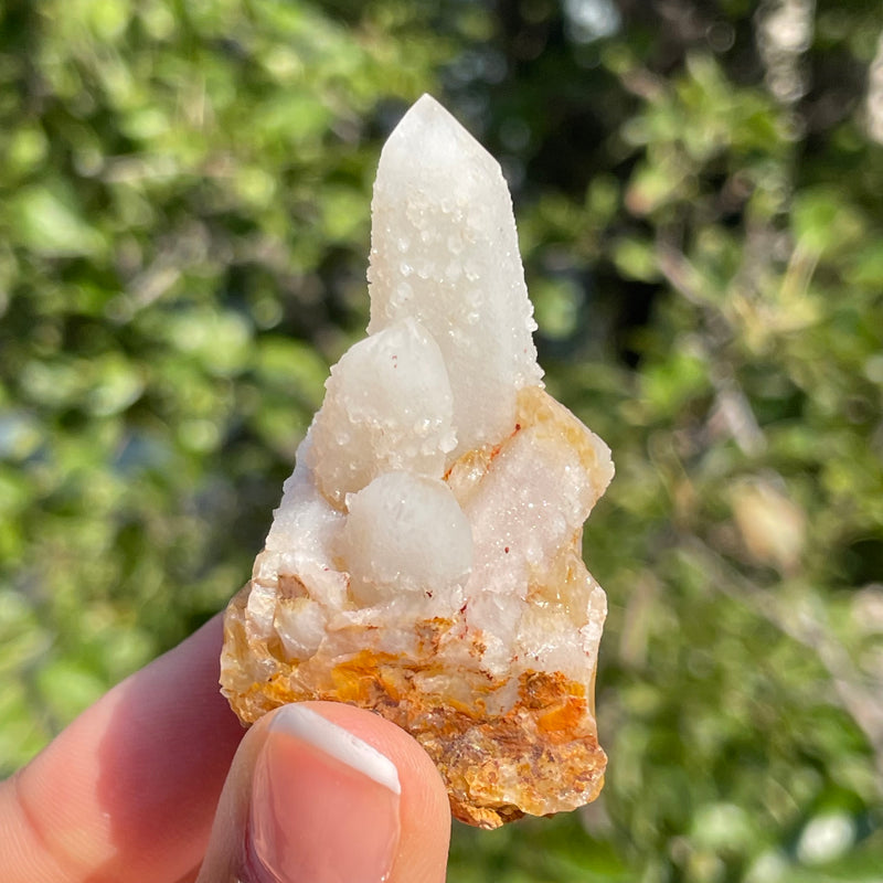 1 piece of Witch’s Finger Quartz from Boukenhoethoek, South Africa