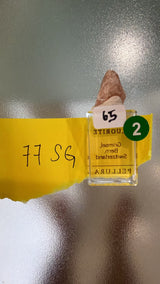 rolo22 TT Singapore July 22