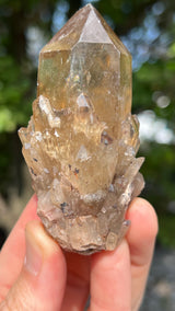 Kundalini Citrine Wholesale Flat 12 pieces from Democratic Republic of Congo