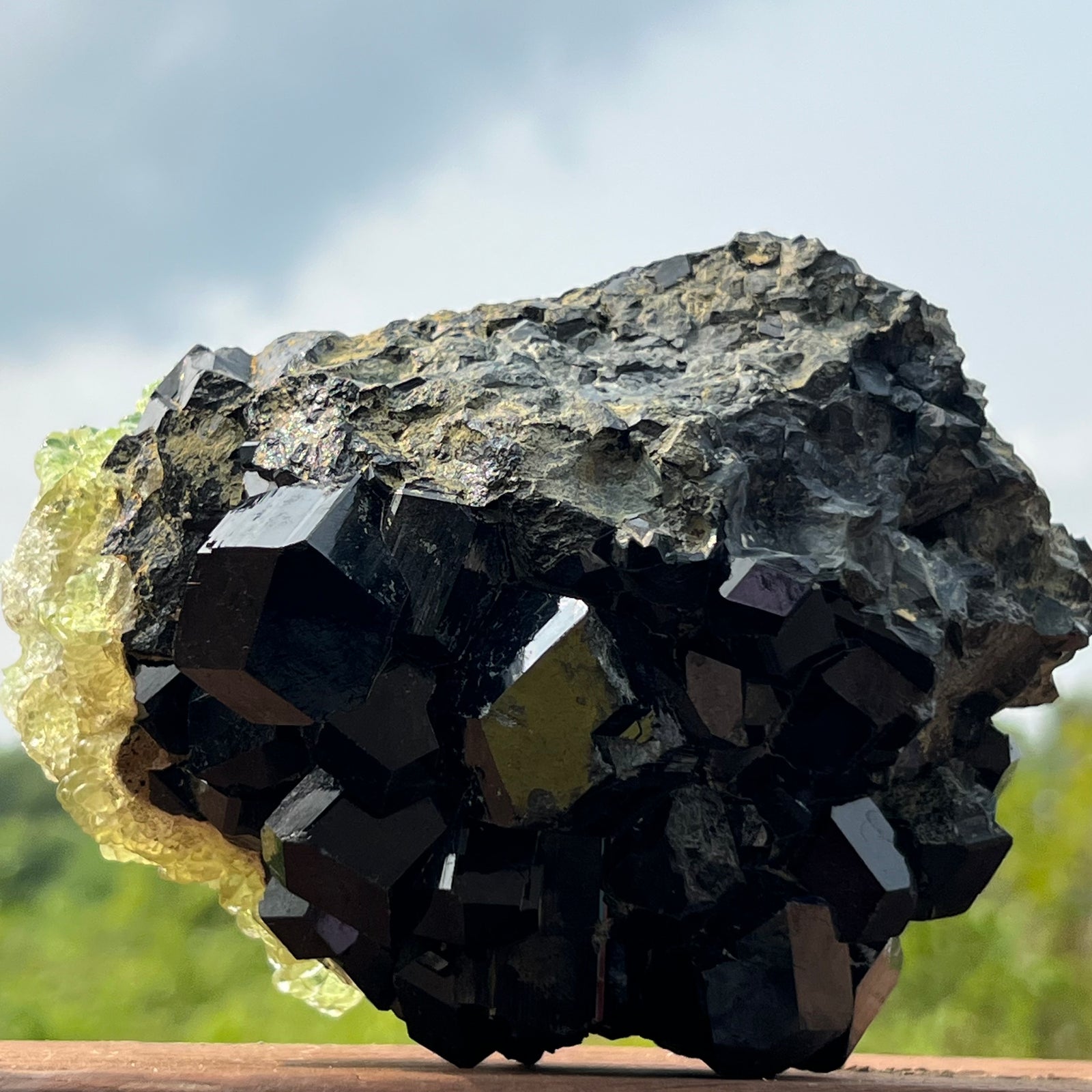 783F73BE-37C9-47DB-AF18-