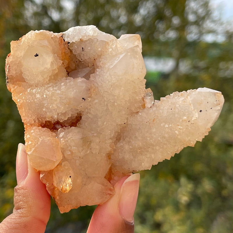 Spirits Quartz - Wholesale flat from Boekenhouthoek, South Africa - 16 pieces (2.770 kg)