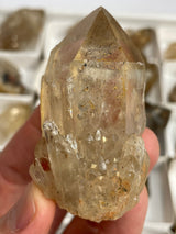 Kundalini Citrine Wholesale Flat 24 pieces from Democratic Republic of Congo