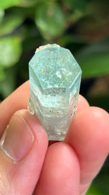 Aquamarine Specimen with Feldspar from Erongo Mountain, Erongo Region, Namibia