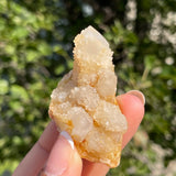 1 piece of Witch’s Finger Quartz from Boukenhoethoek, South Africa