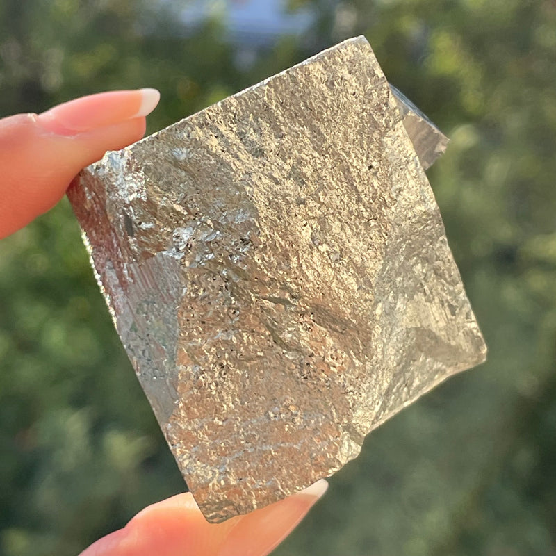 Pyrite from Victoria Mine, Navajún, Spain