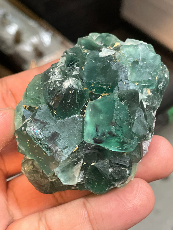 @crazy4euphorbia
