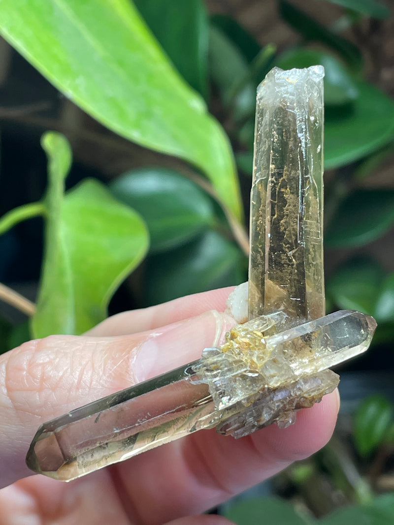 Smoky Quartz from Mount Malosa, Zomba, Southern Region, Malawi