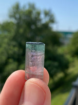 Watermelon Tourmaline from Taquaral, Minas Gerais, Brazil